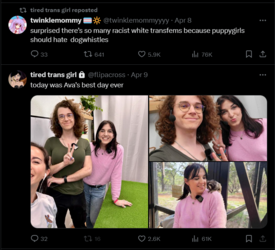 FireShot Capture 1025 - tired trans girl (@flipacross) _ X - twitter.com.png
