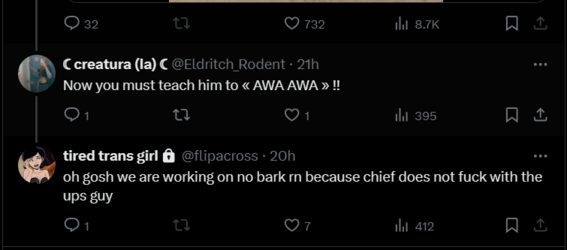 FireShot Capture 1029 - Posts with replies by tired trans girl (@flipacross) _ X - twitter.com.png