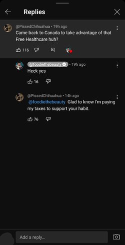 Screenshot_20240411_191518_YouTube.jpg