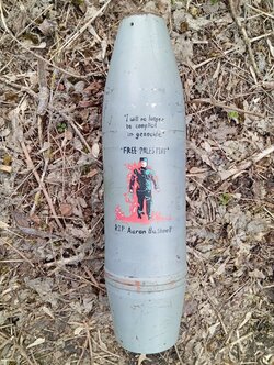 palestine bushnell shell.jpg
