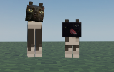 mycatmc.png