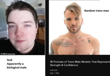 NullTranny.png NullTranny.png