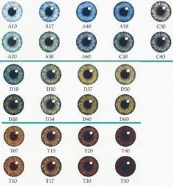 eyechart.png