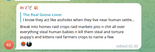 kittenraids.png