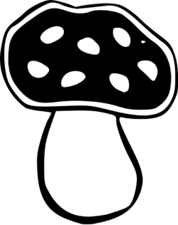 1713059998154.png