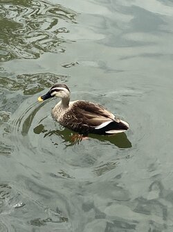 IMG_7480.jpeg