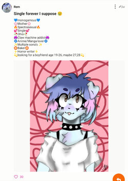 mpus1.jpg