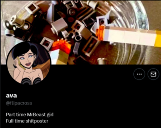 FireShot Capture 1048 - ava (@flipacross) _ X - twitter.com.png