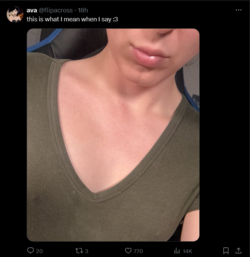 FireShot Capture 1052 - ava (@flipacross) _ X - twitter.com.png