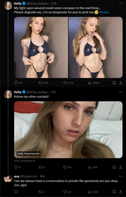 FireShot Capture 1058 - Posts with replies by ava (@flipacross) _ X - twitter.com.png