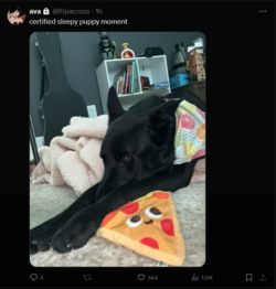 FireShot Capture 1096 - ava (@flipacross) _ X - twitter.com.png