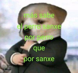 IMG_1556.jpeg