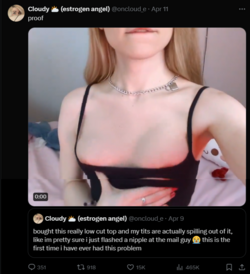 FireShot Capture 1112 - Cloudy 🌥️ (estrogen angel) (@oncloud_e) _ X - twitter.com.png