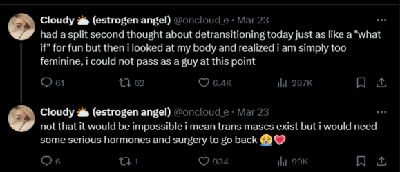 FireShot Capture 1117 - Cloudy 🌥️ (estrogen angel) (@oncloud_e) _ X - twitter.com.png