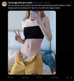 FireShot Capture 1120 - Cloudy 🌥️ (estrogen angel) (@oncloud_e) _ X - twitter.com.png