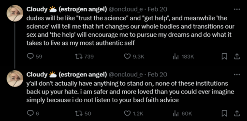FireShot Capture 1135 - Cloudy 🌥️ (estrogen angel) (@oncloud_e) _ X - twitter.com.png