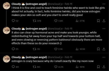 FireShot Capture 1138 - Cloudy 🌥️ (estrogen angel) (@oncloud_e) _ X - twitter.com.png