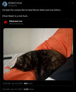 1713153987456.png