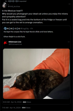 1713154045302.png