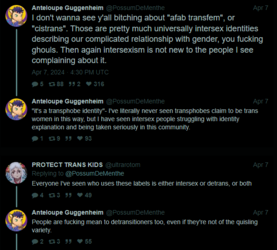 afab transfem.PNG