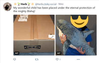 Screenshot 2024-04-15 at 20-08-02 🔆🌱Herb🌱🔆 (@herbs.bsky.social).png