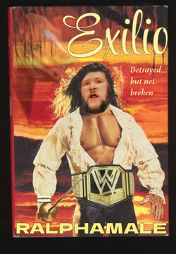 New York Times Best Selling Romance Novel.jpg