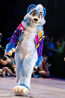 furryfloor.jpg