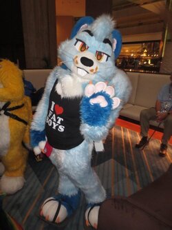 furryshirt.jpg furryshirt.jpg