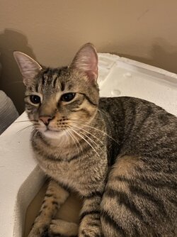 IMG_1510.jpeg
