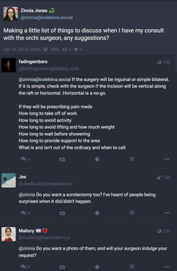 orch2.png