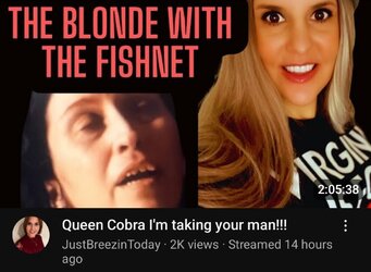 Screenshot_20240416_104007_YouTube.jpg