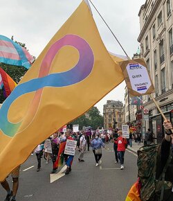 Autistic_Pride_Flag_-_Pride_is_a_Protest.jpg