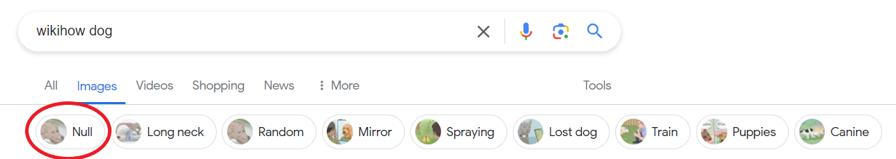 wikihow.PNG