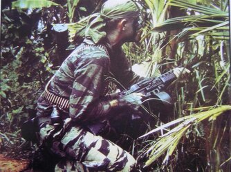 SEAL vietnam.jpg
