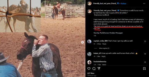 delta jesse boettcher biting horses.png
