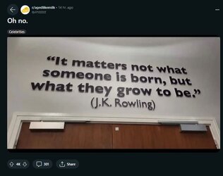 rowlingdumb1.JPG