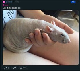 lessdicks.JPG