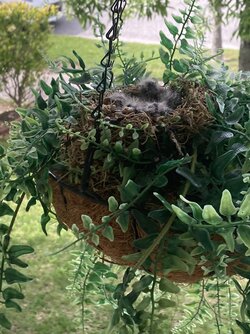 IMG_5867.jpeg