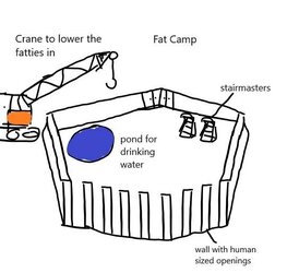 64a786818f1d8.jpeg