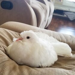 IMG_7646.jpeg