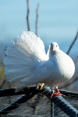 IMG_7651.jpeg
