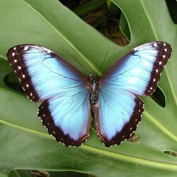 IMG_5253.jpeg