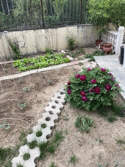 IMG_7557.jpeg