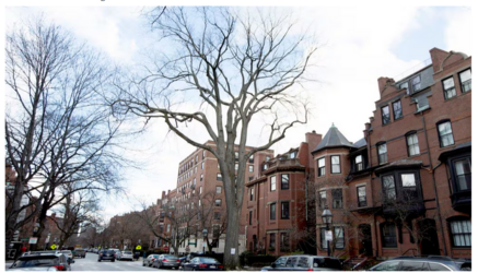 backbay04.PNG backbay04.PNG