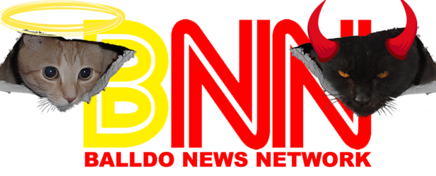 bnn cats.png
