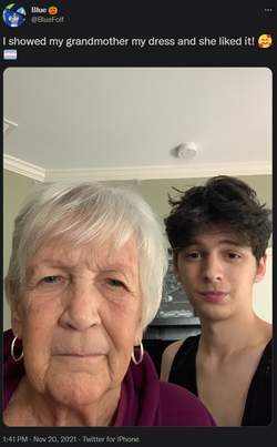 Grandma reaction to dress.png