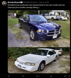 1713528998189.png