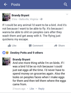 1713529078401.png
