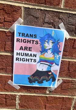 BlueFolf poster.jpg