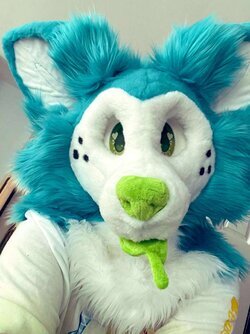 Blue 2.0 head unfinished.jpg